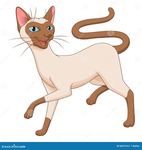 Cute Siamese Cat Stock Vector Illustration Of Domestic 86072161