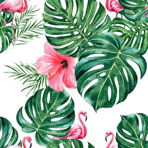 Tropical Collection On Behance Green Art Pink And Green Hand