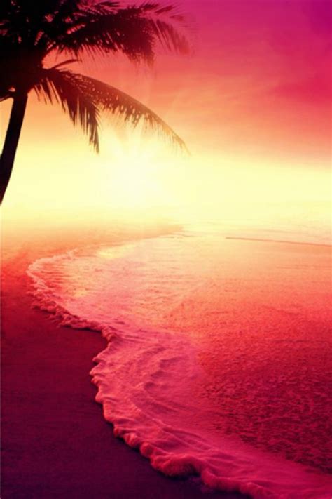 Pink Beach Beautiful Sunset Beautiful Nature Scenery