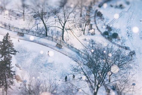 Snowy Toronto Bing Wallpaper Download