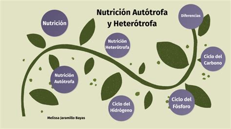 Nutrición Autótrofa Y Heterótrofa By Melissa Jaramillo On Prezi Next