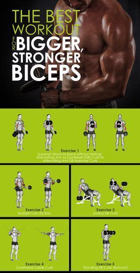 The Best Workout For Bigger Stronger Biceps Back And Bicep Workout