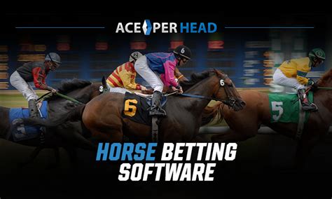 Best Horse Racing Betting Software High Level Pay Per Head Company