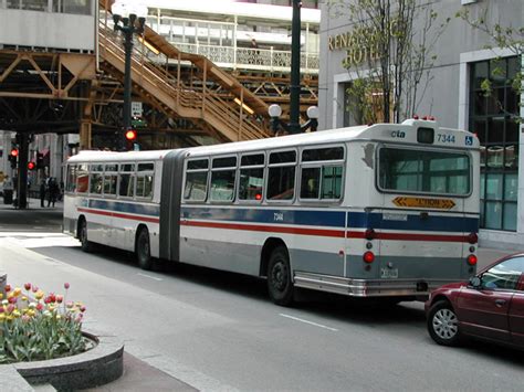Man Articulated Bus