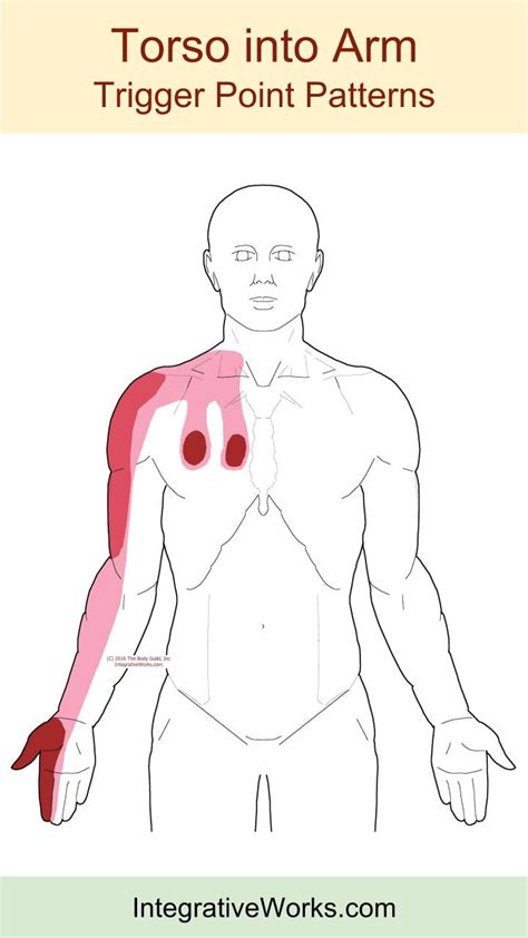 Front Of Shoulder Pain When Raising Arm Integrative Works
