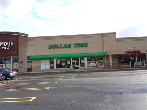 Our wide variety of flowers will satisfy every floral need. Dollar Tree #4666 Clifton, NJ | Dollar Tree #4666 34 Main ...