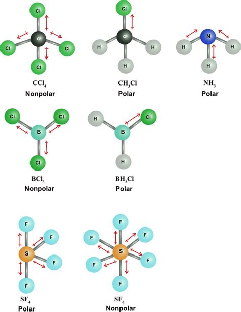 Molecular Polarity Pathways To Chemistry