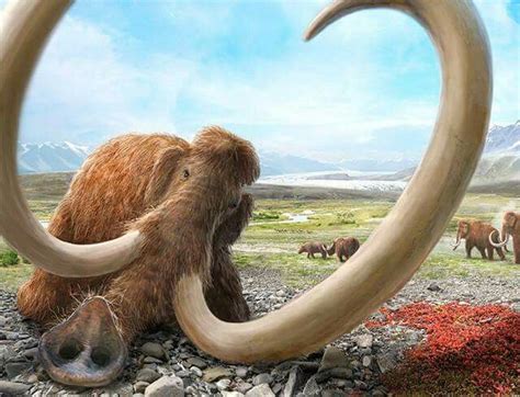 Woolly Mammoth Ice Age