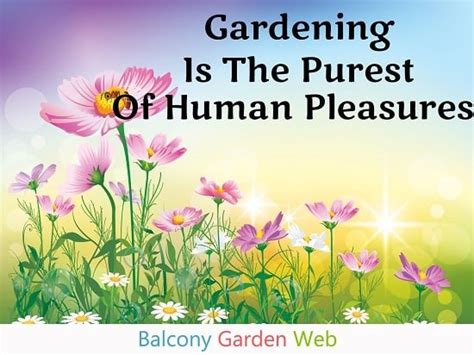 47 Beautiful Garden Quotes Balcony Garden Web