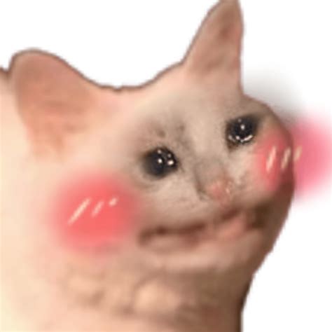 Crying Cat Meme Pic Png Transparent Overlay
