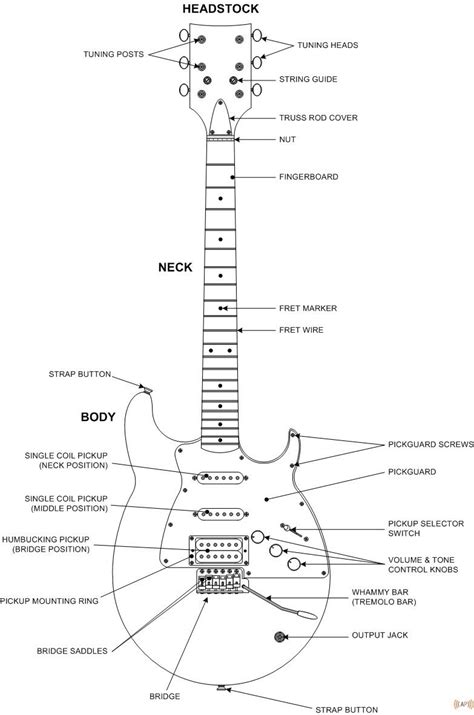 Learn about all the parts of a guitar. Guitar Diagram | Playing guitar, Guitar, Music guitar