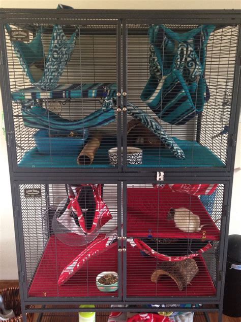 Cool Critter Nation Cage Setup I Love The Fleece Patterns And Layouts