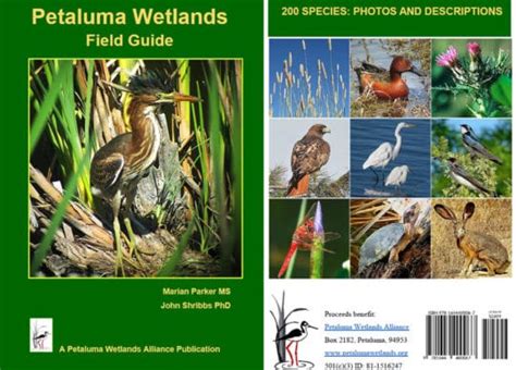 Field Guide Printed Petaluma Wetlands Alliance