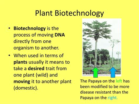 Ppt Biotechnology Powerpoint Presentation Free Download Id1603962