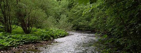 Mit ein wenig kondition ließe sich die radtour durch die eifel an einem tag bewältigen, doch warum? Nationalpark Eifel / Vulkaneifel: Sehenswürdigkeiten ...