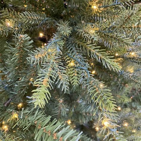 7ft Norway Spruce Pre Lit Kaemingk Everlands Artificial Christmas Tree