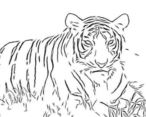 Cats are the most popular pets in the world after the fishes, but before the dogs. Big Cats Coloring Pages - Coloring Home