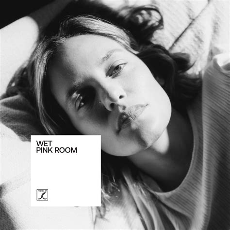 Wet Pink Room Pink Glass Translucent Vinyl 12 Plaid Room Records