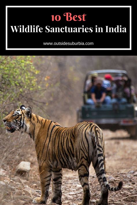 10 Best Wildlife Sanctuaries In India That You Must Visit Outside