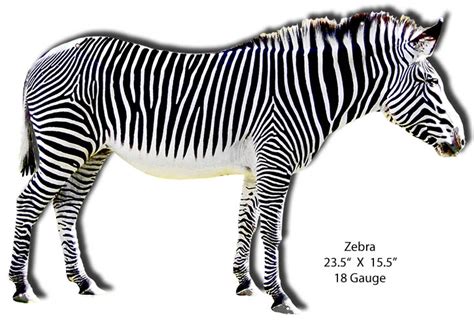 Zebra Animal Laser Cut Out Safari Wall Art 155x235 Reproduction