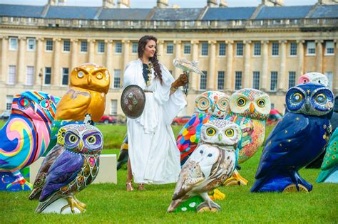 Minervas Owls Of Bath Sculptures Unveiled Minerva Owl Bird Bath Owls