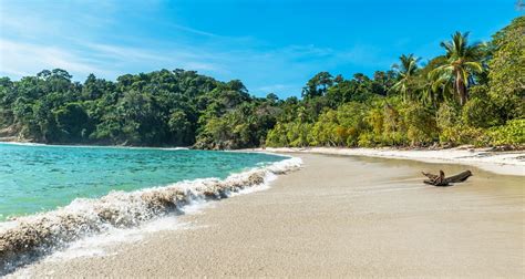 Manuel Antonio Beach What To Know Insider Families