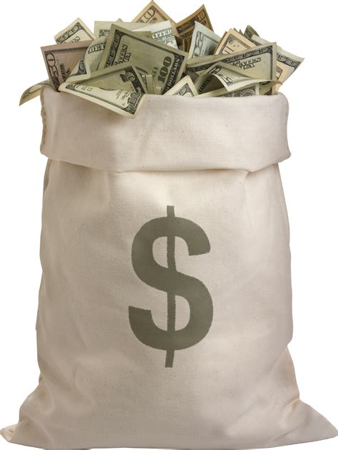 Money Bag PNG Transparent Background, Free Download #33947 - FreeIconsPNG png image