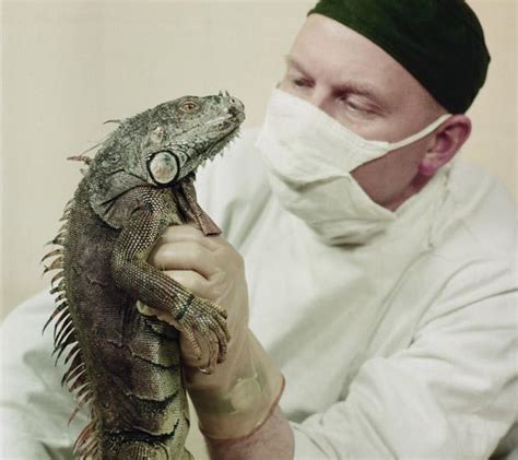22 Interesting And Funny Vintage Photos Of Animals Acting