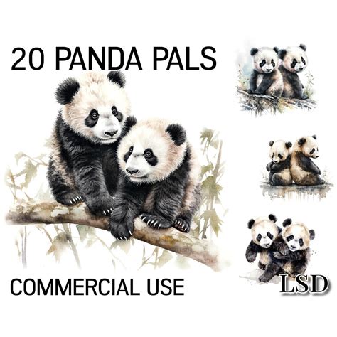 20 Panda Bear Digital Clipart Pack Panda Bear Image Bundle For Etsy