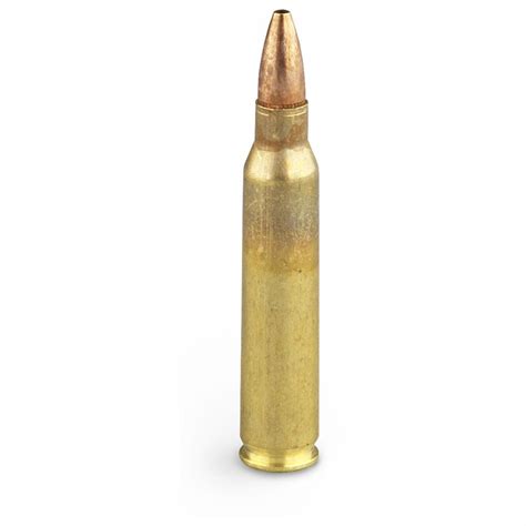 200 Rounds 45 Grain Hollow Point Remington 223 Ammo 95017 223