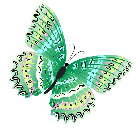 Green Butterfly Pictures - Cliparts.co png image
