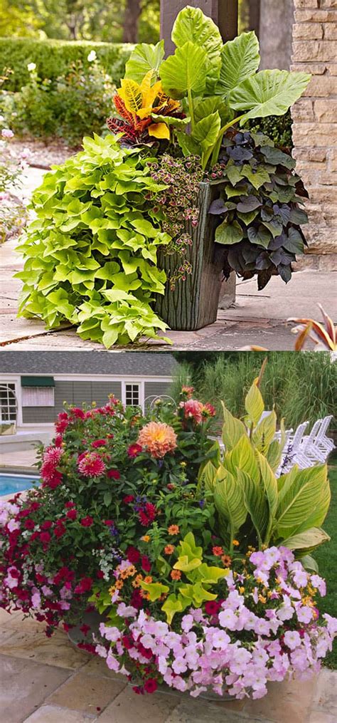 24 Stunning Container Garden Planting Designs Page 2 Of 3 A Piece Of Rainbow