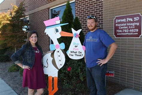 We have storks, smiley faces, flamingos, cows, graduation signs and much more. Gender reveal, stork yard sign rental www ...