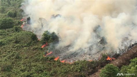 Intense forest fires have raged across the indonesian regions of sumatra and kalimantan in recent weeks. Indonesian president orders permanent solution to annual ...