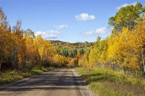Dirt Road Below Hills And Trees In Autumn Color In Northern Minnesota