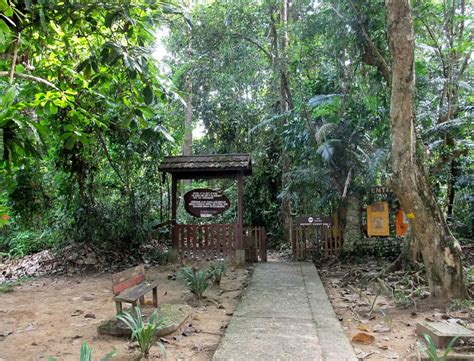 Park Narodowy Taman Negara W Sierpniu 2024 Pogoda I Średnia