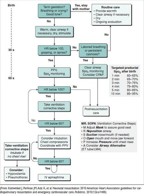 Nrp Algorithm Pocket Obstetrics And Gynecology