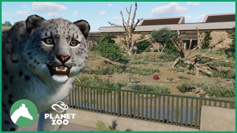 Snow Leopard Habitat Elm Hill City Zoo Planet Zoo Youtube