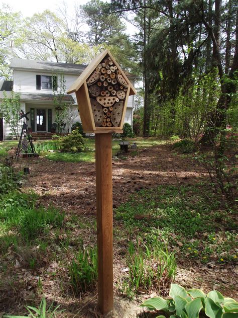Native Bee Nest Box Made From Cord Wood In My Yard Cord Wood Nest Box
