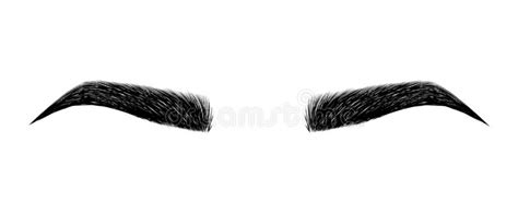 Clipart Eyebrows 20 Free Cliparts Download Images On Clipground 2023