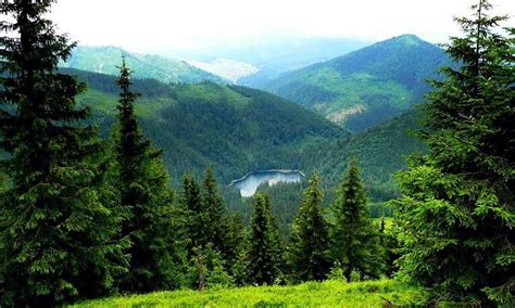 Carpathian Mountains And Bukovel Resort Top Must Visit Places In Ukraine