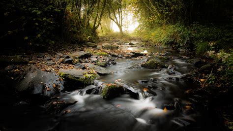 Pictures Autumn Nature Streams Stones 2560x1440