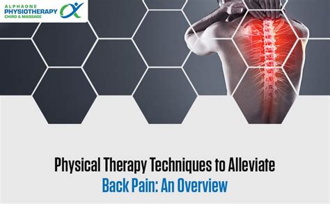 Physical Therapy Techniques To Alleviate Back Pain