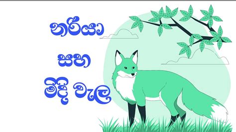 නරියා සහ මිදි වැල ළමා කතන්දර Nariya Saha Midi Wala The Fox And The