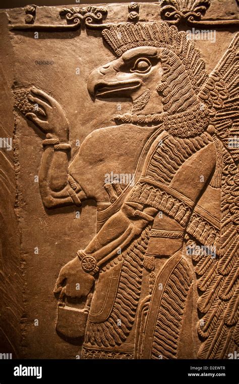 Assyrian Relief Sculpture Of An Eagles Head British Museum London