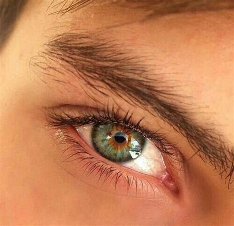 Pin De 𝗫𝗼𝗽𝗶𝗼𝗱 Em Eyes Olhos Bonitos Olhos Lindos Cores De Olhos