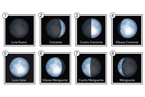 Las Fases De La Luna Y Sus Influencias Descubre Los Detalles The Best