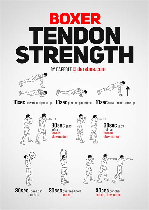 Boxer Tendon Strength Workout