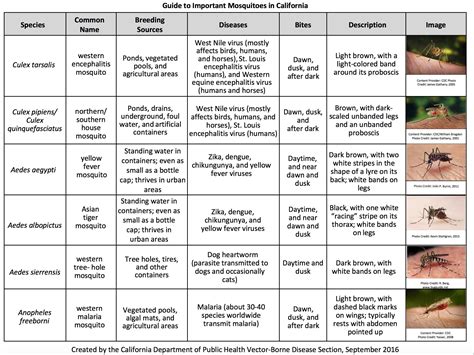 San Joaquin County Mosquito And Vector Control District Mosquitoes