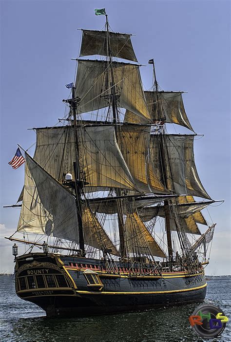 The Hms Bounty Tall Ship Halifax Harbour Tall Ships Old Sailing